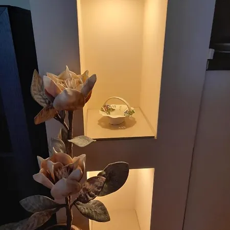 Apartment Markos